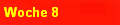 Woche 8