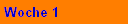 Woche 1