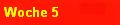 Woche 5