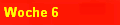 Woche 6