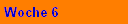 Woche 6