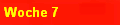 Woche 7