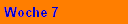 Woche 7
