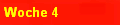 Woche 4