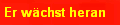 Er wchst heran