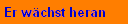 Er wchst heran
