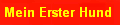 Mein Erster Hund
