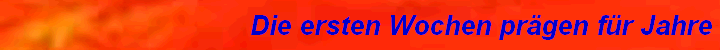 Die ersten Wochen prgen fr Jahre