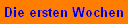 Die ersten Wochen