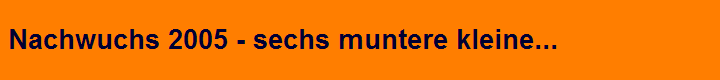 Nachwuchs 2005 - sechs muntere kleine...